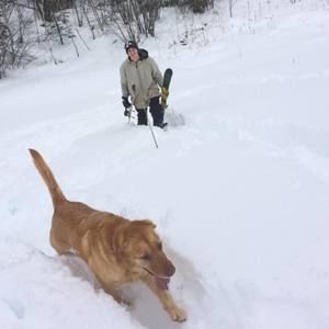 Meet your Posher, Ben